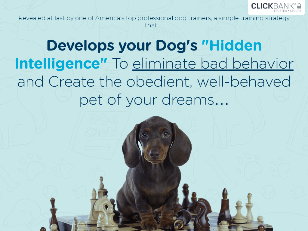 Brain Training for Dogs Review