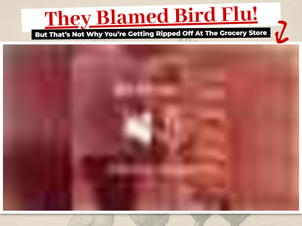 Backyard Eggs Review