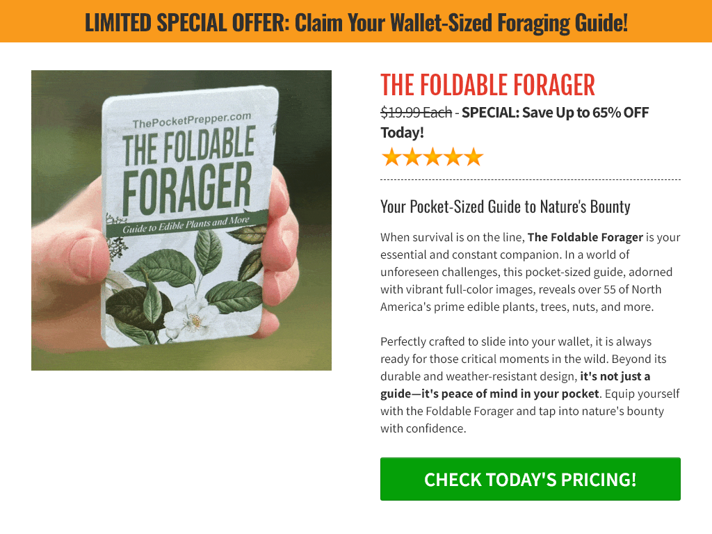 The Foldable Forager Review