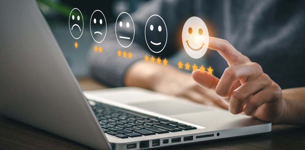 Learning To Live With An English Bull Terrier Review