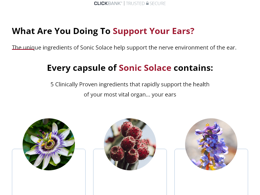 Sonic Solace Review